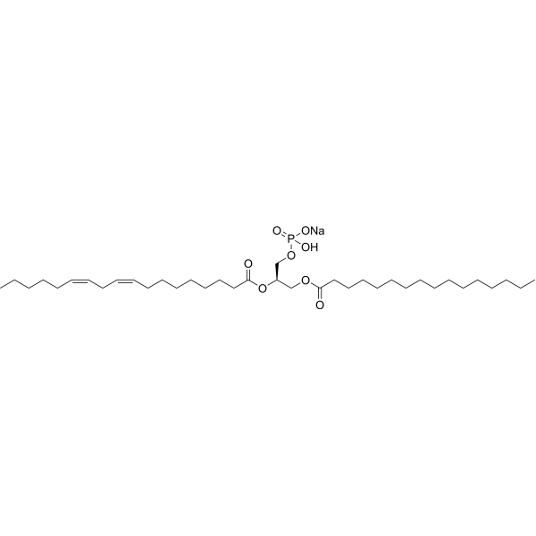 16:0-18:2 PA sodium 322647-59-6